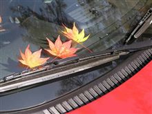 車検からマック号が帰ってきました