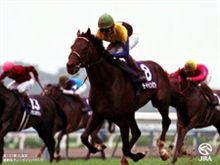 総決算！有馬記念ウィーク！