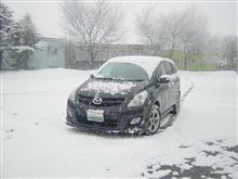 久しぶりの雪