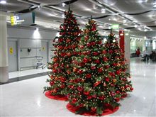 何かクリスマスツリー、余り気味～