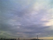 寒さが緩んだ水曜日