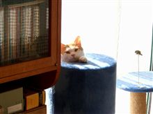 ちょっとかわいらしく♪