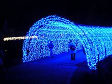 目に悪い”青ＬＥＤ”