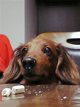 だいべん