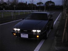 撮ってきました