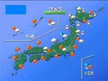 今日は？