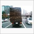 目の前の車から・・・・・・