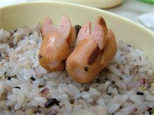 愛妻弁当