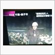 素朴な疑問・・・