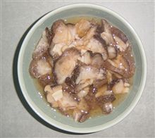 ナマコ
