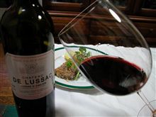 CHATEAU DE LUSSAC