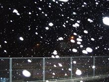 わーい、雪だ～♪
