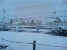 初雪