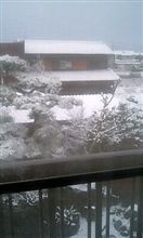 ◎＼(￣O￣)オハヨーヨー!!Ξ( ￣▽￣)ノ―――――――◎)+o+) グシャ【2006/12/29】 