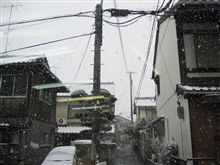 思いっきり雪が降ってきました！