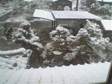天気予報どおり・・・