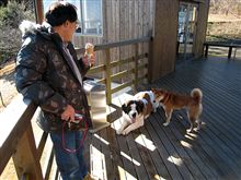 愛宕山にいたワンコ