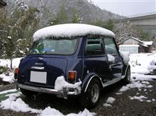雪ぽっぽ。。。