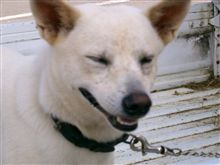 ありがとう～＾＾＠