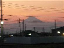 来年もヒトエに。