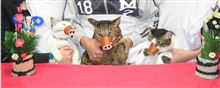 明けましておめでとうございます。