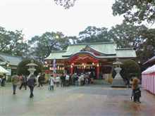 遅れ馳せながら初詣