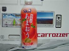 ナビを装着しました。