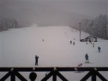 今日は雪！ 