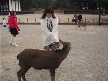 じみぐるま。研究所、２００７年カウントダウンオフ♪