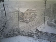 朝起きたらそこは…？
