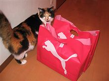 お得意様いらっしゃい！（笑）