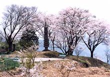 近場探索？
