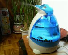 パソコンはいいみたいだが・・・