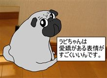 漫画『亀レオンの二世帯生活　かわいいけど・・・』