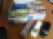 「ぽちっ」(・∀・)ﾆﾔﾆﾔ