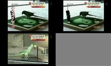 ウマイ