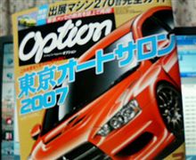 珍しくオプションを購入しました。