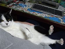 でろぉぉ～ん♪