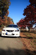 久しぶりの８０km走破