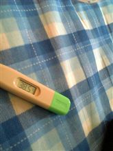 寝ます(*&#180;ｪ`*)