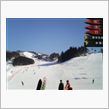 ☆今日はヒルズ族♪