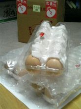 遅ればせながら(1)　～うこっけいの卵～