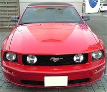 かなり久々のブログ更新