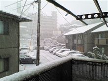 雪の朝 雪の朝