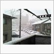 雪の朝