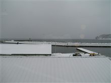 今日の流氷・・・無い・・・