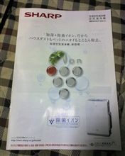 検討中…　(-ω-；)