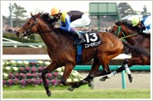 共同通信杯＆シルクロードＳ予想