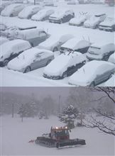 雪不足って言うけど．．．