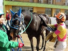 ＜名古屋競馬＞ウララの連敗記録超えたブラックハーロック